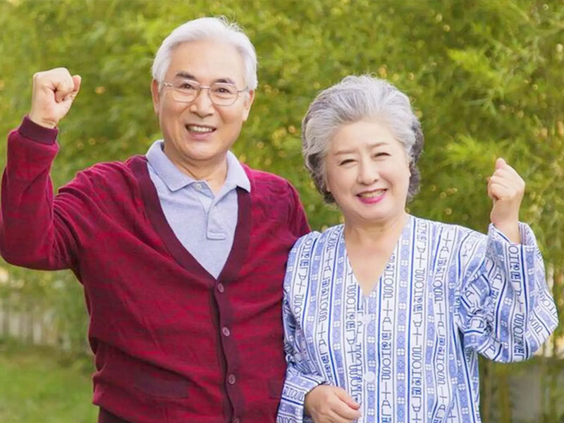 老年补气食疗方