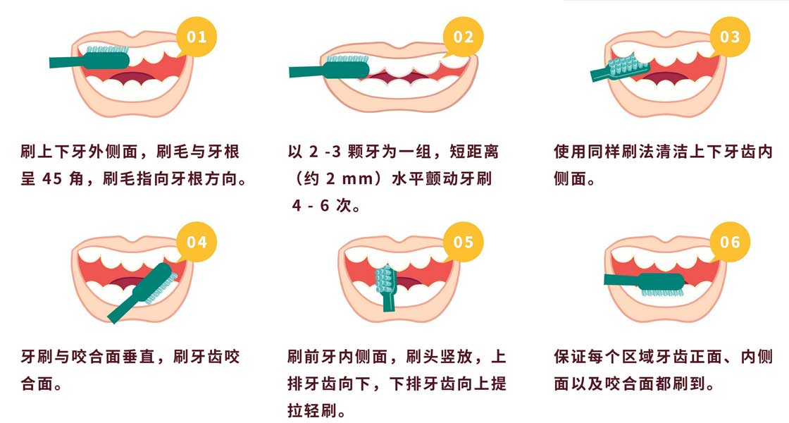 巴氏刷牙法